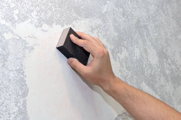 Best Basement Mold Removal  in Troy, PA
