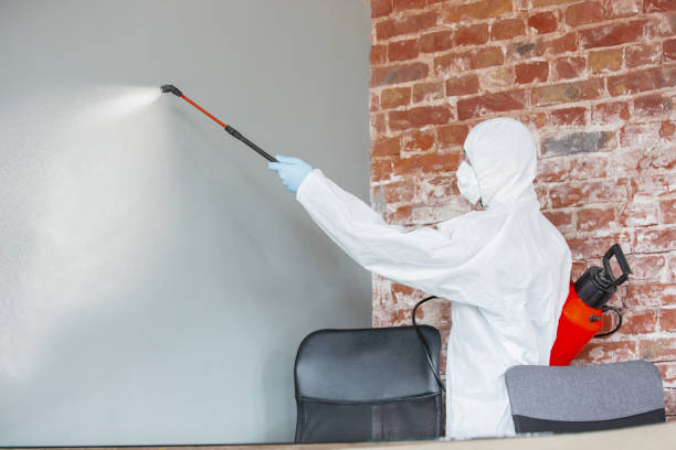Best Mold Remediation for Vacation Homes  in Troy, PA
