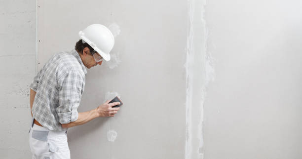 Trusted Troy, PA Mold Removal Experts