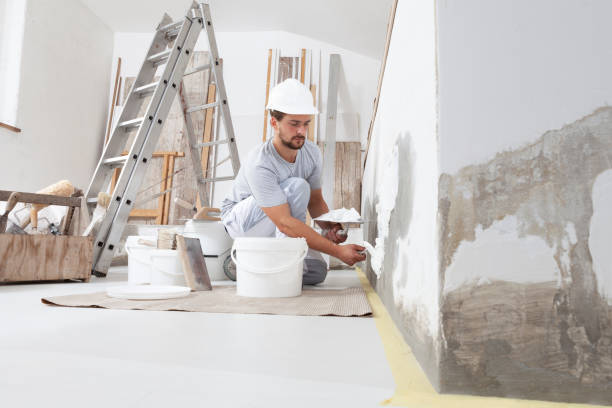 Best Mold Damage Restoration  in Troy, PA
