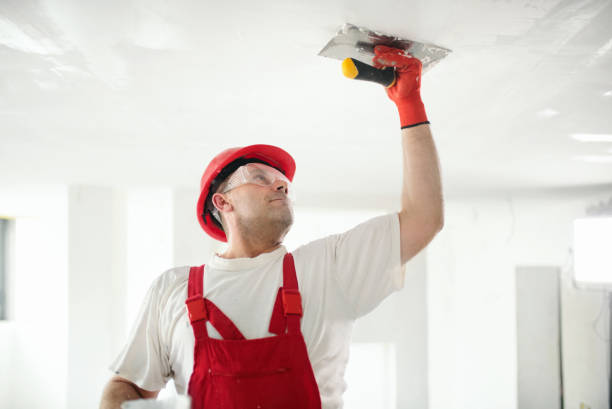 Best Air Quality Testing for Mold Spores  in Troy, PA