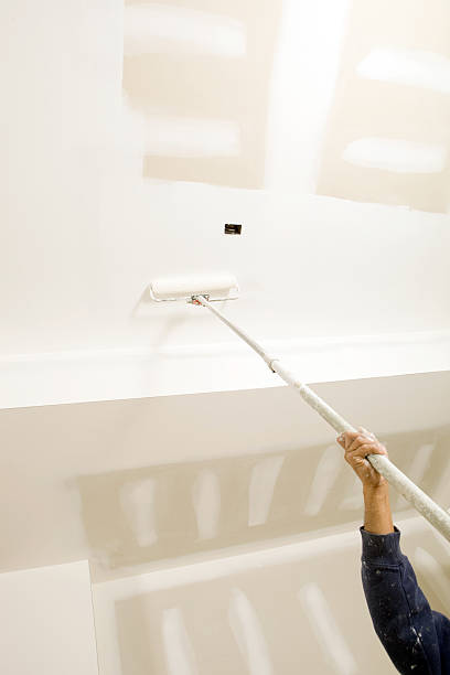 Best Attic Mold Removal  in Troy, PA